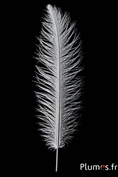 Strauss - 30-40 cm - silber